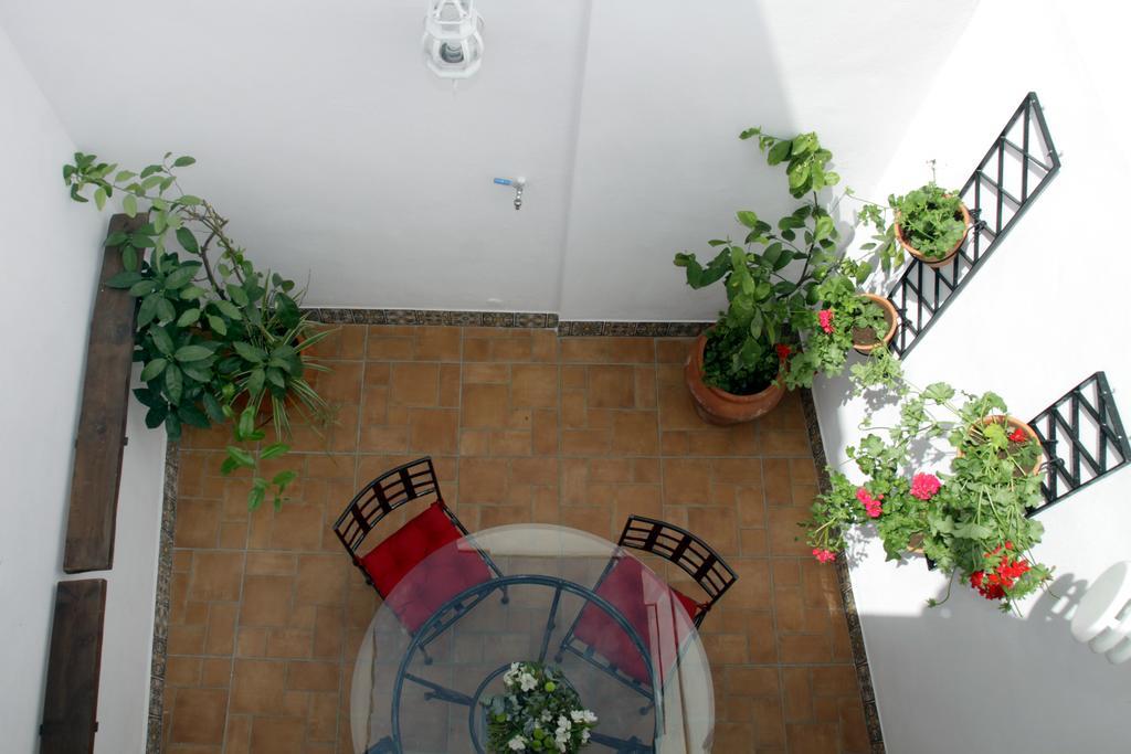 Apartamentos San Fernando 76 Кордова Екстер'єр фото
